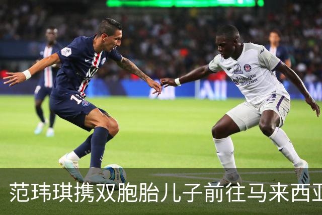 范玮琪携双胞胎儿子前往马来西亚，兄弟外貌差异显著
